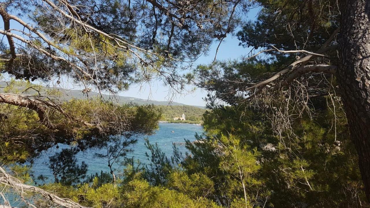 Apartman Karin Donji Karin Dış mekan fotoğraf
